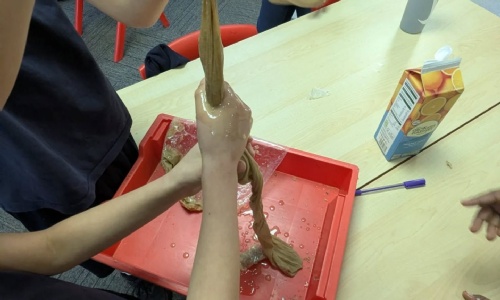 News &raquo; Year 4 recreated the digestive system!